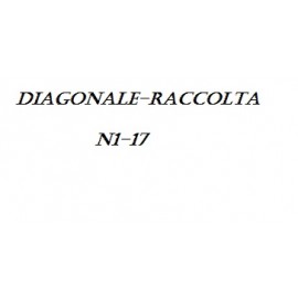 Diagonale-Raccolta N1-17